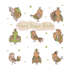 Set of cute little neutral birds isolated on white background.
 Flat design. Hand drawn colored vector set.
 Modern trendy illustration. All elements are isolated