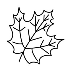 icon of maple leaf, line style