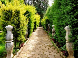 path in the garden
