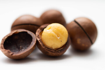 macadamia nut close up