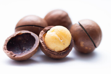 macadamia nut close up