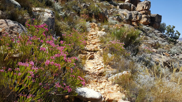 Hiking path at Cederberg Wilderness Area