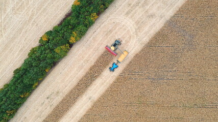 Aerial view of combine loading off corn grains into tractor trailer. Flying over agricultural...