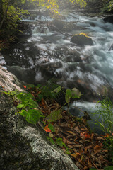 Oirase river in Japan