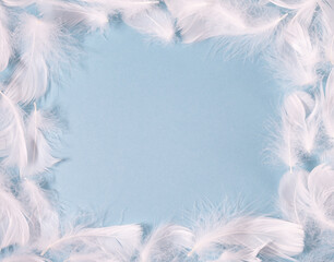 Fototapeta na wymiar white feathers on a blue background with place for text. Light delicate background