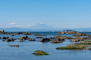 Fototapeta na wymiar 湘南・葉山の海と富士山と江ノ島とヨット