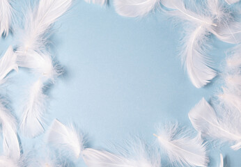 Fototapeta na wymiar white feathers on a blue background with place for text. Light delicate background