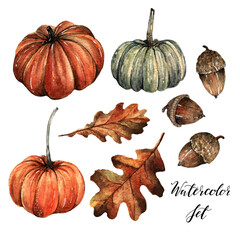 Watercolor illustration. Autumn set. pumpkins, acorn, leaves, card for you, handmade