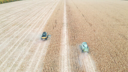 Aerial shot of combines gathering corn crop at field. Flying over harvesters during harvesting. View from high to farming machinery working in farmland. Agricultural concept