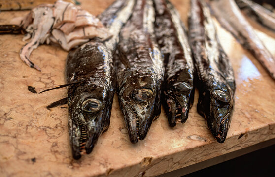 Black Scabbard Fish Images Browse 10 Stock Photos Vectors And Video Adobe Stock