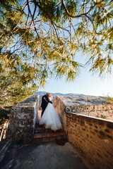 the bride and the groom hug on the castle wall on the background mountains