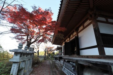 Fototapeta na wymiar 奈良県　壷阪寺の紅葉