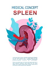internal organs medical poster concept