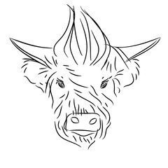 Fashionable hairstyle of a bull with bangs combed like an eroquois on a white background. The symbol of 2021 is the year of the white metal Ox.