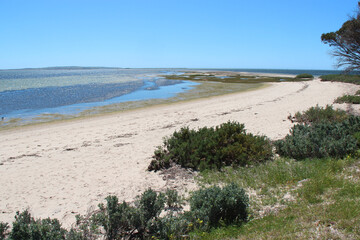 littoral at kingscote on kangaroo island (australia)
