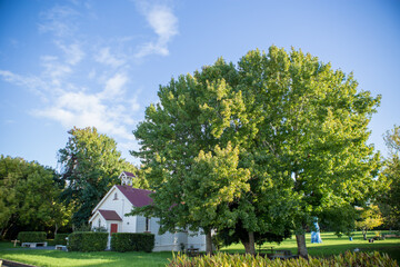 Henderson Park, Auckland, New Zealand