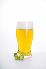 Light beer with hops on white background