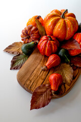 Fall Pumpkins and Gourds