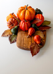 Fall Pumpkins and Gourds