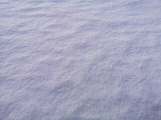 Snow in the rays of the sunset as a background.