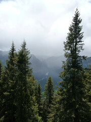 Teufelstattkopf mountain, hiking tour, Bavaria, Germany