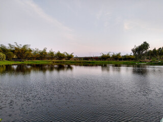 reflection of trees in the water
