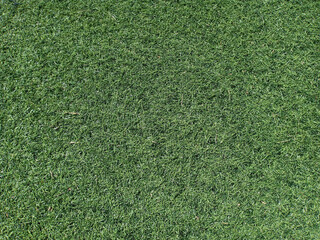 Obraz premium Background or texture of green artificial grass as yard.