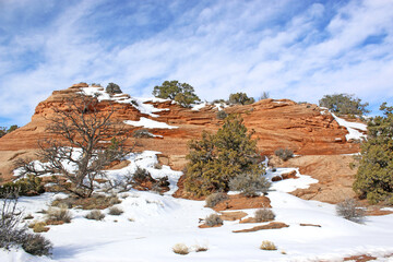 Canyonlands National Park Island in the Sky, Utah