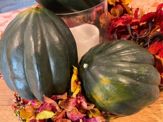 Autumn Display of Acorn Squash