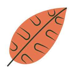 round leaf icon, half line half color style