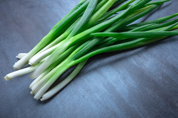 green onion on gray background, free space for edits