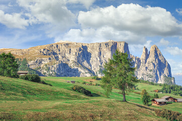 Fototapeta na wymiar Blick über die Seiser Alm auf den Schlern,Südtirol,Dolomiten;Italien