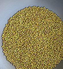 A close-up of many mung beans on a silver metal background.
