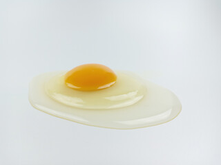 One raw chicken egg with yellow yolk and clear white egg in three layers on white background. The largest cell in the world.