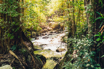 The image landscapse of a river and stream flowing through the rocks in the rich natural forest.