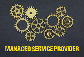 Managed Service Provider 