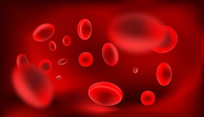 Human blood cells under a microscope, the movement of red blood cells in blood vessels