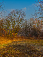 Fototapeta premium P3050685