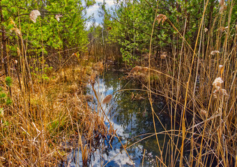 500px Photo ID: 1013569741