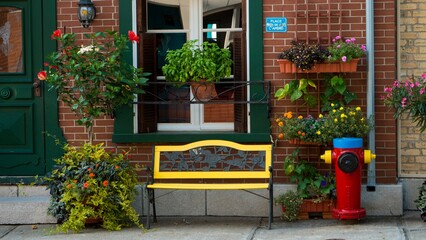 Fototapeta na wymiar Calm bench surrounded by flowers