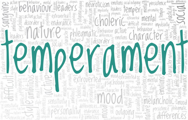Temperament vector illustration word cloud isolated on a white background.