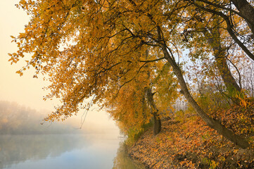 Fototapeta premium Foggy and Sunny Day on Siret river in Romania