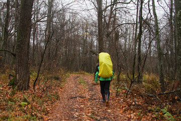 Obraz premium Travel tourist with a backpack goes in the fall