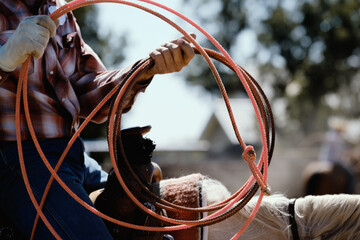 Western culture shows rodeo lifestyle of cowboy with rope in hand close while riding horse.