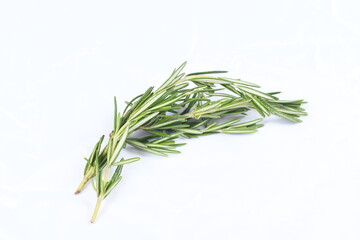 Sprig of rosemary, and evergreen aromatic herb, on white, high-key background, with bright exposure.