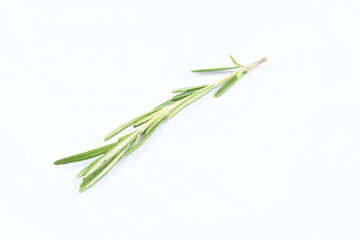 Sprig of rosemary, and evergreen aromatic herb, on white, high-key background, with bright exposure.