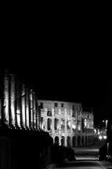 
The monuments of rome in black and white at night
