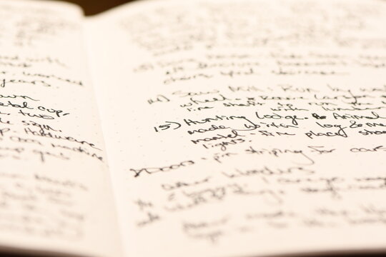 Cursive ink handwriting in a journal notebook.