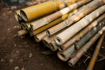 a bundle of bamboo trunks on the ground