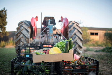 A tractor carrying baskets of fruits and vegetables